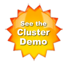zrm cluster demo